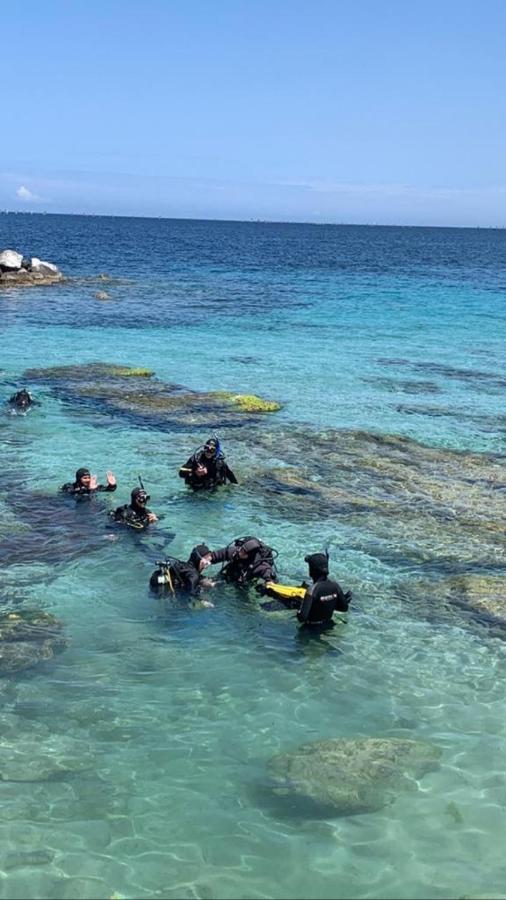 イーゾラ・デッレ・フェンミネSealoftアパートメント エクステリア 写真